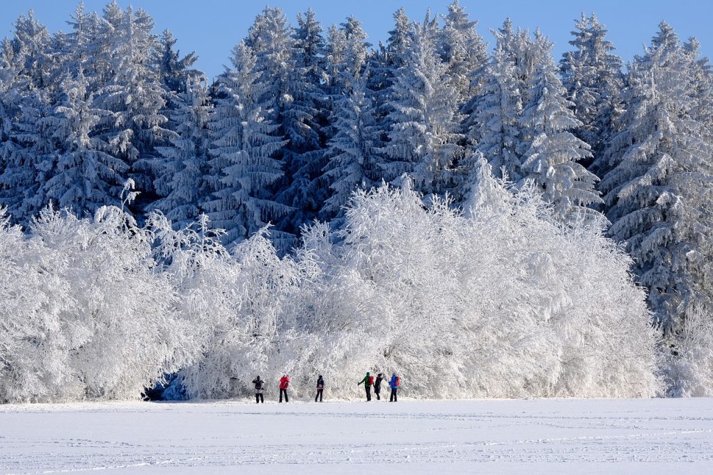 Winter Camping Destination